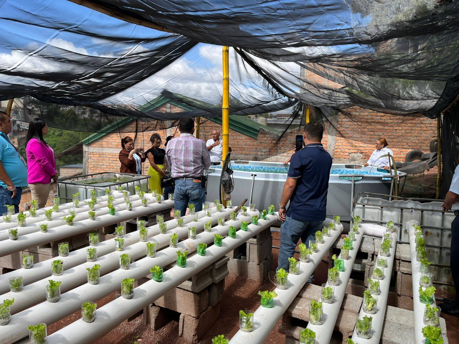 DIGEPESCA y la SAG llevan la acuaponía a la Escuela José Simón Azcona en la Col. Las Palmas
